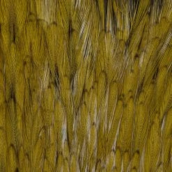 Wapsi Fly Rooster Neck Prime Fly Tying Materials