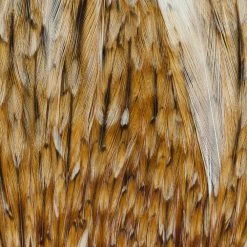 Wapsi Fly Rooster Neck Prime Fly Tying Materials