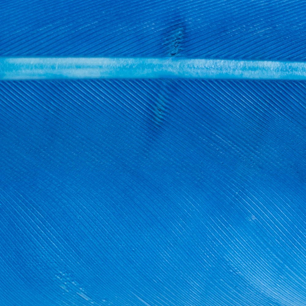 Wapsi Fly Duck Quill Fly Tying Materials