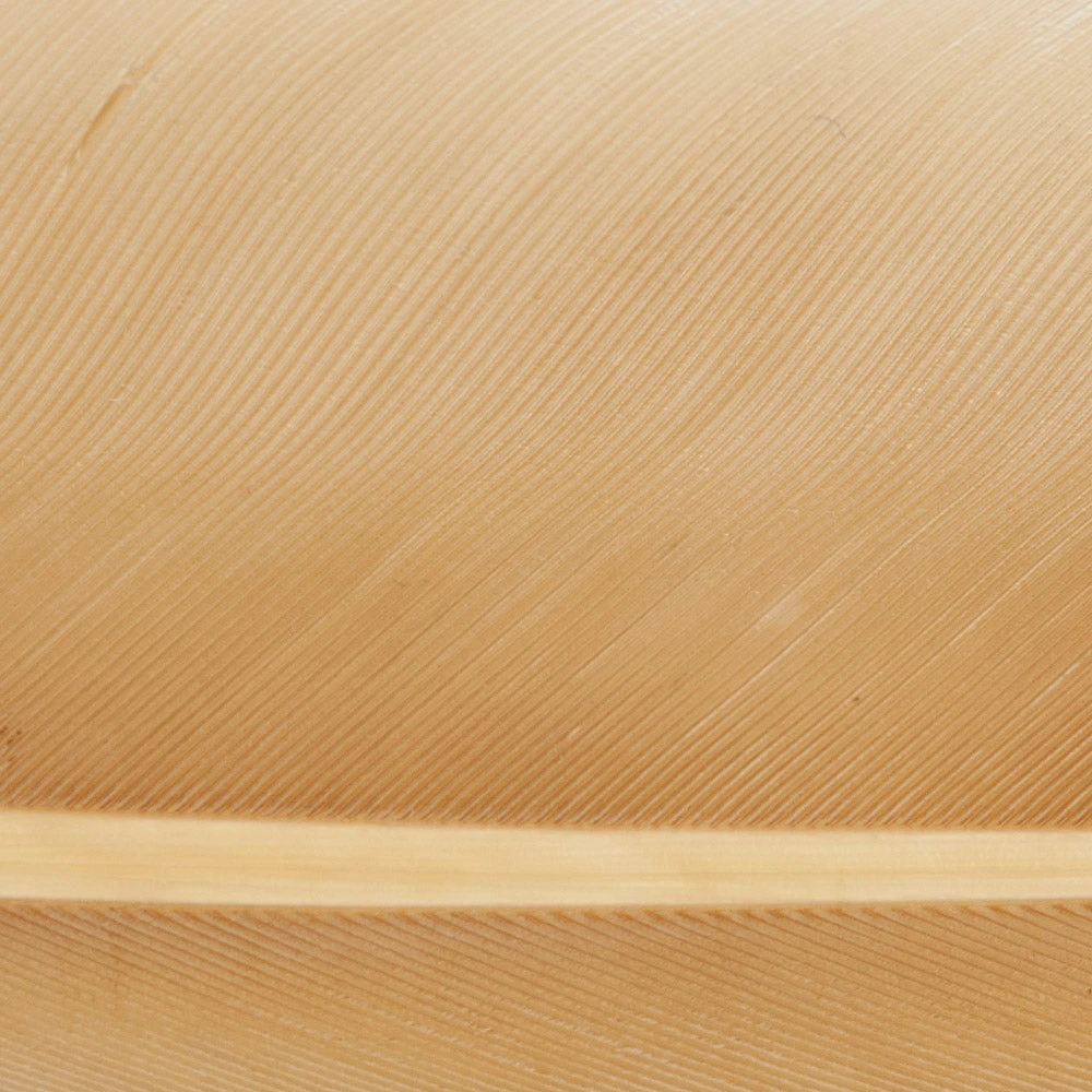 Wapsi Fly Duck Quill Fly Tying Materials