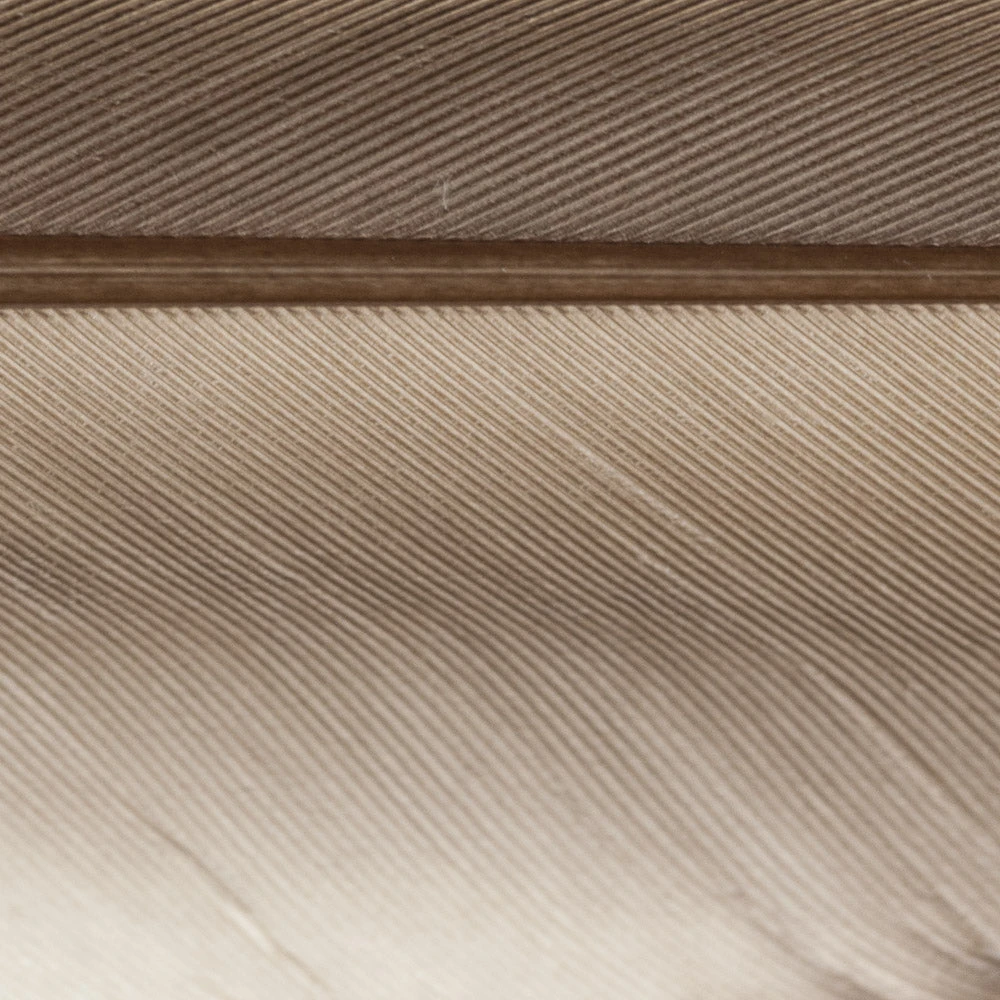 Wapsi Fly Duck Quill Fly Tying Materials