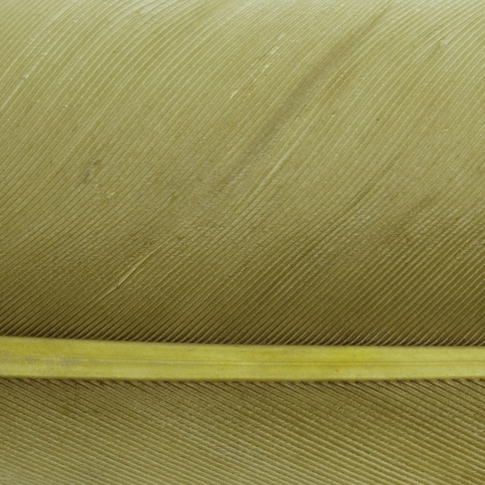 Wapsi Fly Duck Quill Fly Tying Materials