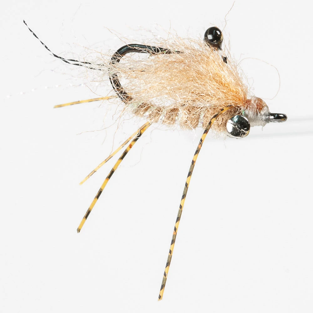 Enrico Puglisi Ltd. EP Ghost Shrimp