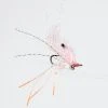 Enrico Puglisi Ltd. EP Ghost Shrimp