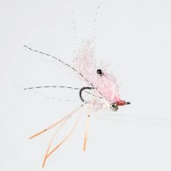 Enrico Puglisi Ltd. EP Ghost Shrimp