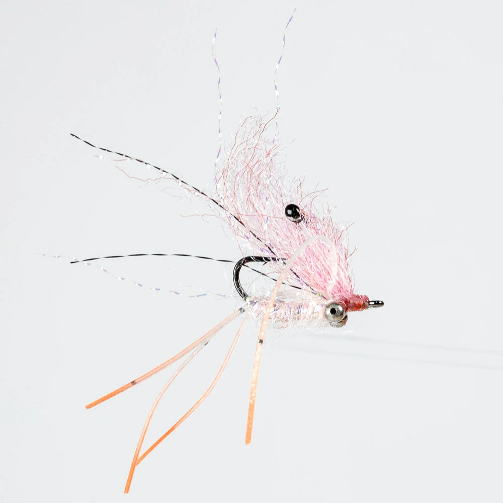 Enrico Puglisi Ltd. EP Ghost Shrimp
