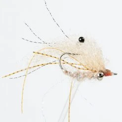 Enrico Puglisi Ltd. EP Ghost Shrimp
