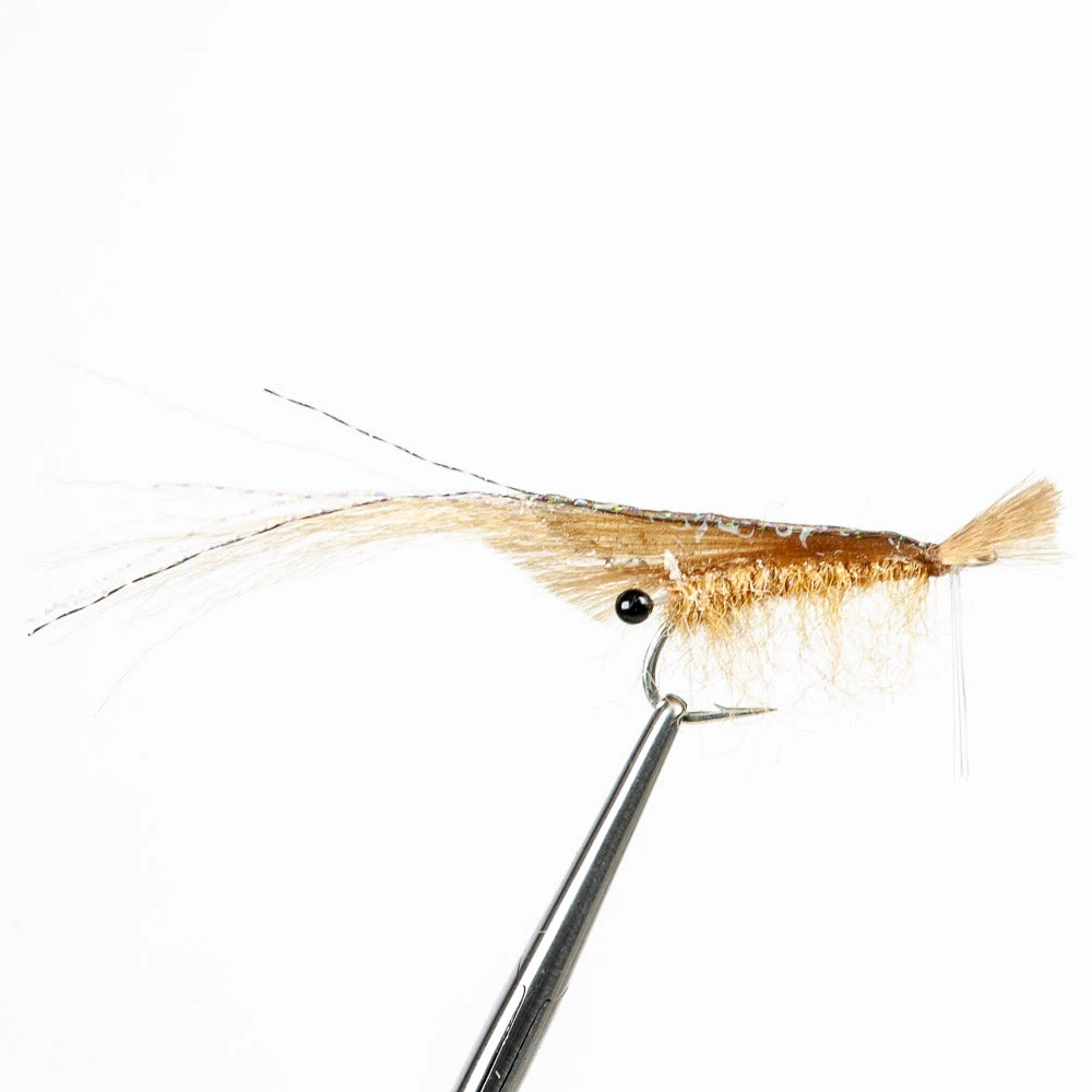 Enrico Puglisi Ltd. EP Grass Shrimp