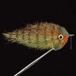 Enrico Puglisi Ltd. EP Oscar