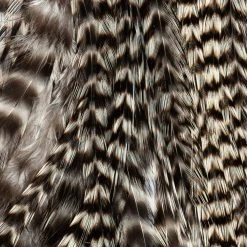 Ewing Feather Birds, Inc. Ewing Wooly Bugger Packs Fly Tying Materials