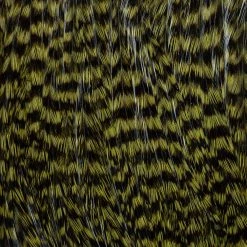 Ewing Feather Birds, Inc. Ewing Deceiver Patch