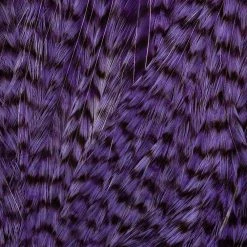 Ewing Feather Birds, Inc. Ewing Deceiver Patch