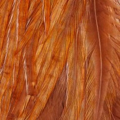 Ewing Feather Birds, Inc. Ewing Wooly Bugger Packs Fly Tying Materials