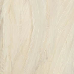 Ewing Feather Birds, Inc. Ewing Wooly Bugger Packs Fly Tying Materials