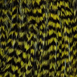 Ewing Feather Birds, Inc. Ewing Wooly Bugger Packs Fly Tying Materials