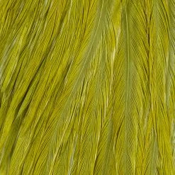 Ewing Feather Birds, Inc. Ewing Wooly Bugger Packs Fly Tying Materials