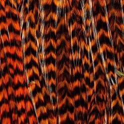 Ewing Feather Birds, Inc. Ewing Wooly Bugger Packs Fly Tying Materials