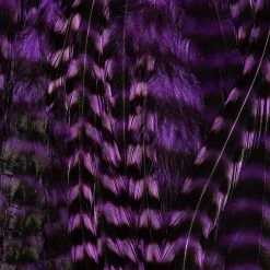 Ewing Feather Birds, Inc. Ewing Wooly Bugger Packs Fly Tying Materials