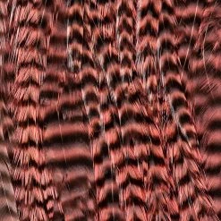 Ewing Feather Birds, Inc. Ewing Wooly Bugger Packs Fly Tying Materials