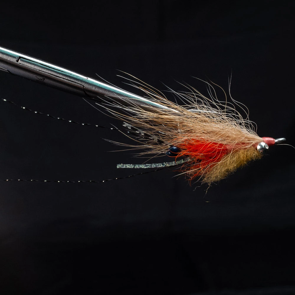 S.S. Flies Goat Belly Shrimp