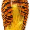 Wapsi Fly Golden Pheasant Neck