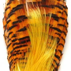 Wapsi Fly Golden Pheasant Neck