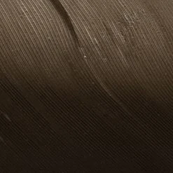 Wapsi Fly Fly Tying Materials Goose Quill