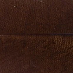 Wapsi Fly Fly Tying Materials Goose Shoulders