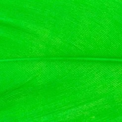 Wapsi Fly Fly Tying Materials Goose Shoulders