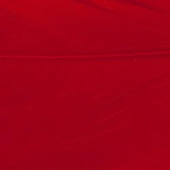 Wapsi Fly Fly Tying Materials Goose Shoulders