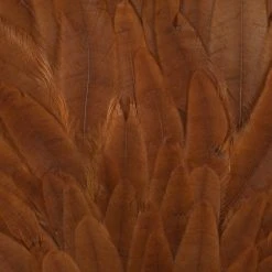 Wapsi Fly Fly Tying Materials Hen Saddle Patch