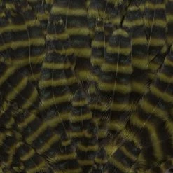 Wapsi Fly Fly Tying Materials Grizzly Hen Saddle