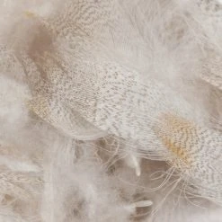 Wapsi Fly Fly Tying Materials Mallard Drake Belly