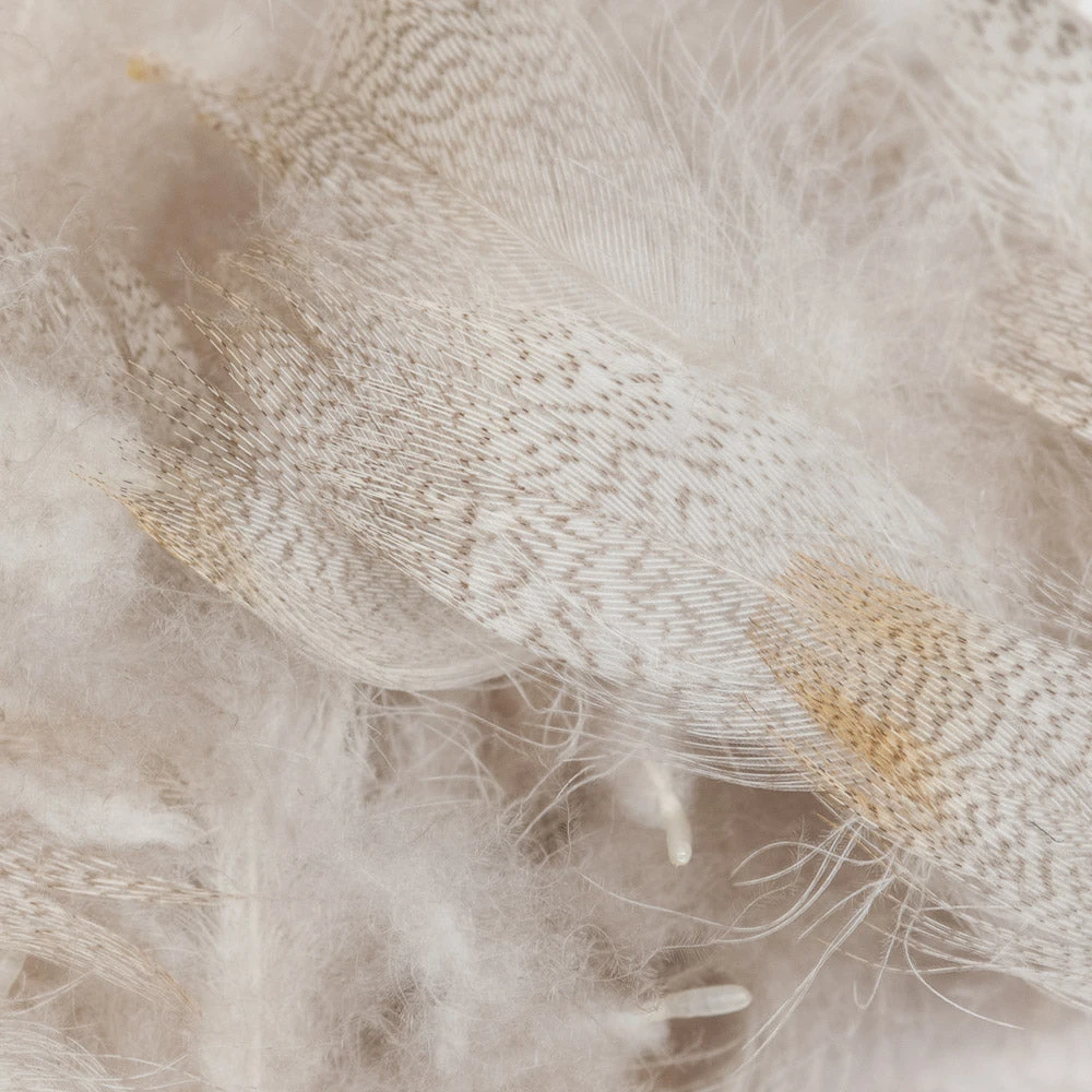 Wapsi Fly Fly Tying Materials Mallard Drake Belly