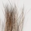 Wapsi Fly Fly Tying Materials Moose Mane