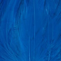 Wapsi Fly Neck Hackle