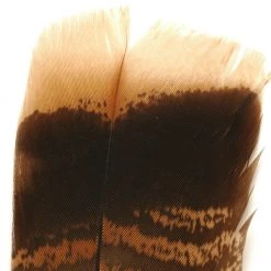 Wapsi Fly Ozark Turkey Tail