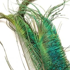 Wapsi Fly Fly Tying Materials Peacock Swords