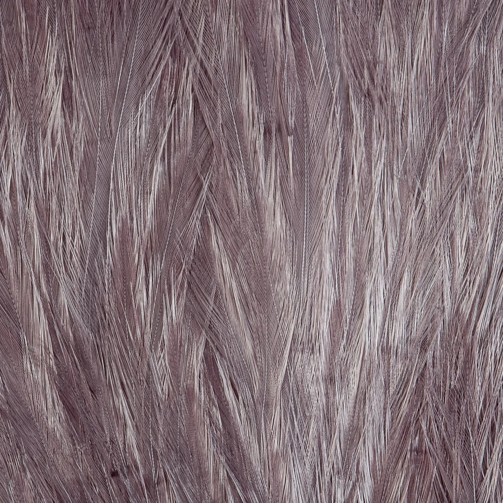 Wapsi Fly Streamer Rooster Neck