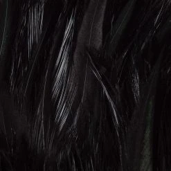 Wapsi Fly Neck Hackle