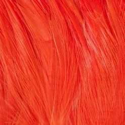 Wapsi Fly Neck Hackle