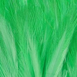 Wapsi Fly Neck Hackle