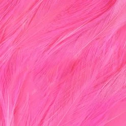 Wapsi Fly Neck Hackle