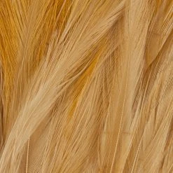 Wapsi Fly Neck Hackle