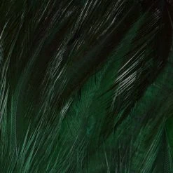 Wapsi Fly Neck Hackle