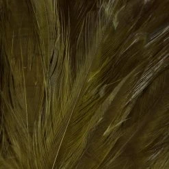 Wapsi Fly Neck Hackle