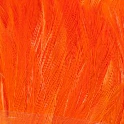 Wapsi Fly Neck Hackle