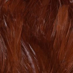 Wapsi Fly Neck Hackle