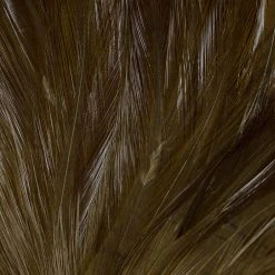 Wapsi Fly Neck Hackle