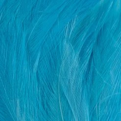 Wapsi Fly Neck Hackle